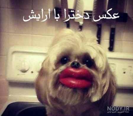 ضد پسر اینستا ضد پسر اینستا