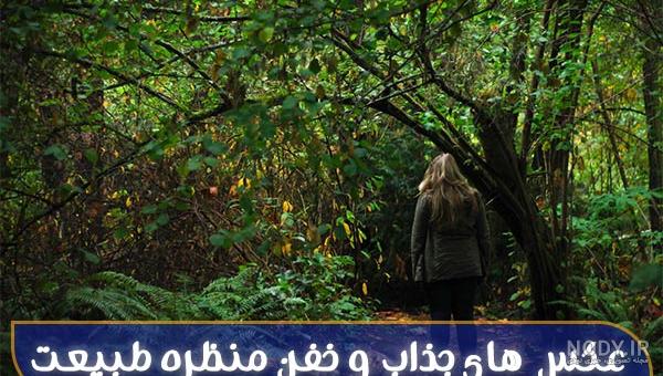 طبیعت زیبا برای پروفایل