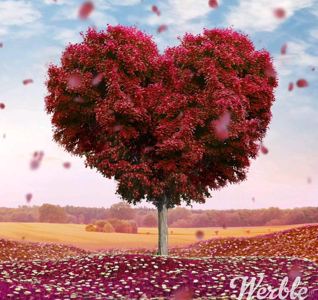 عکس از منظره طبیعت متحرک عکس از منظره طبیعت متحرک