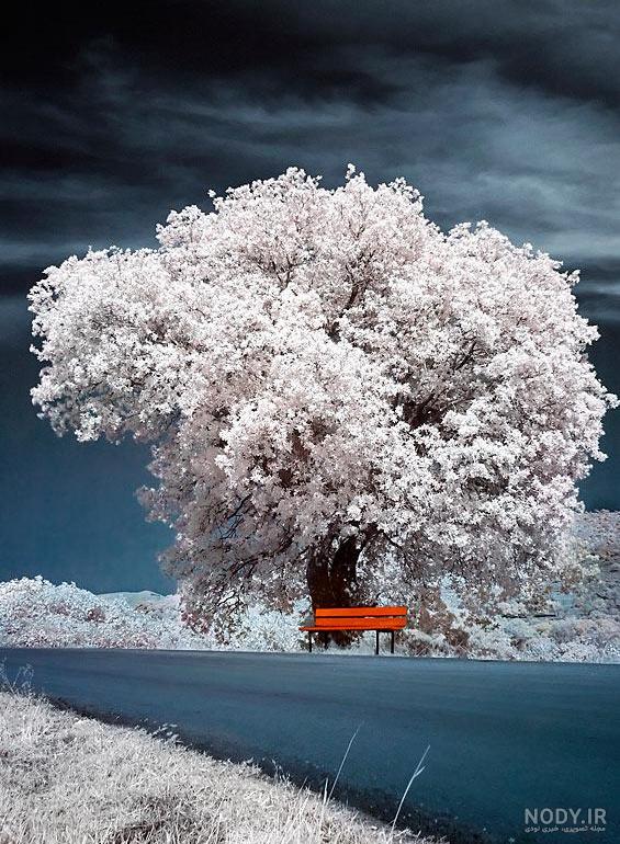 عکس برای صفحه قفل موبایل عکس برای صفحه قفل موبایل