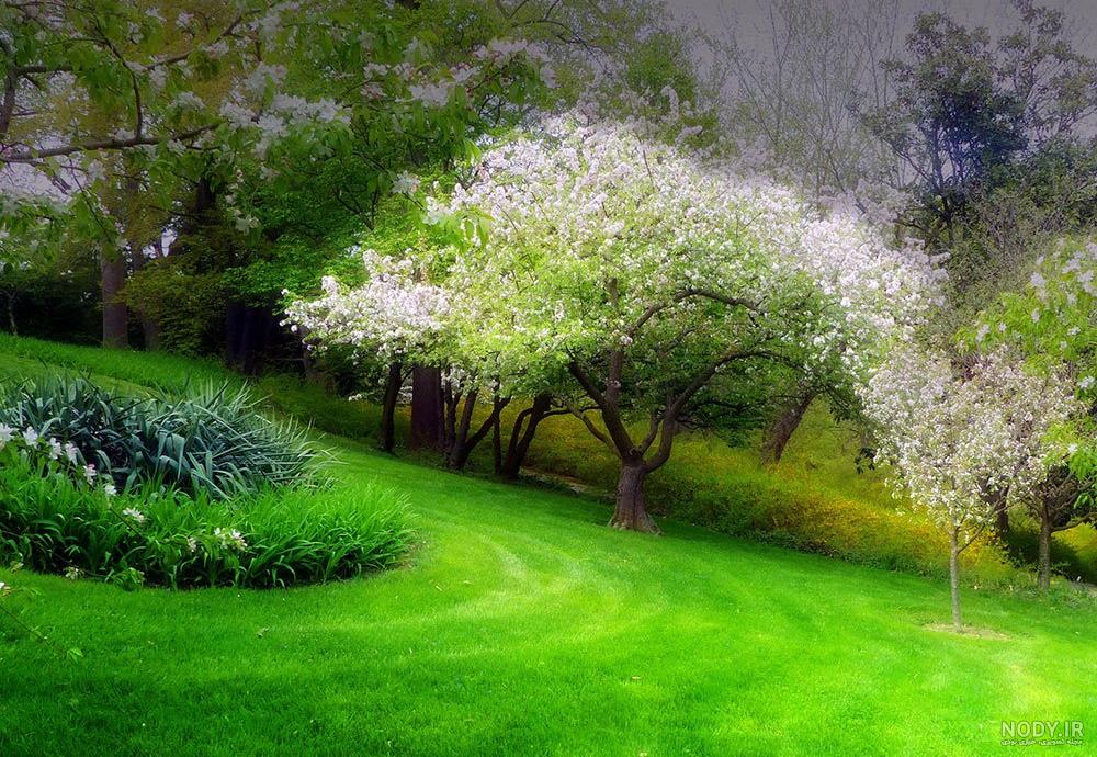 عکس بهاری دخترانه