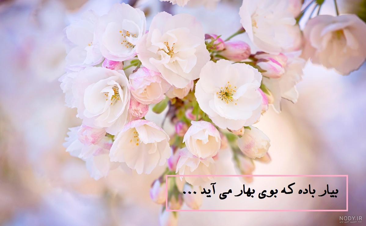 عکس تبریک سال نو ۱۴۰۰