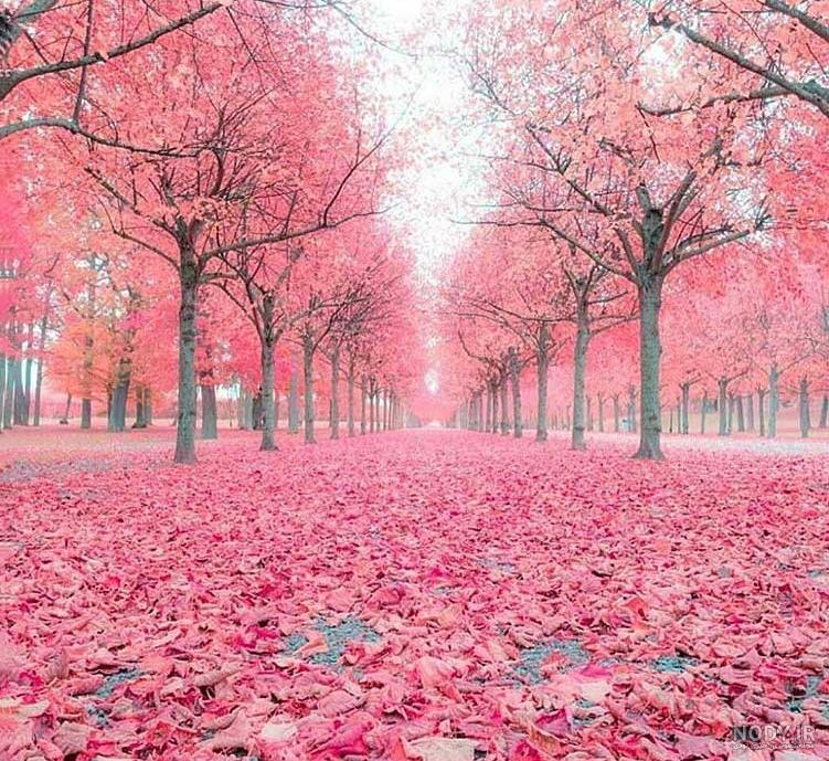 عکس تصویر زمینه باحال عکس تصویر زمینه باحال