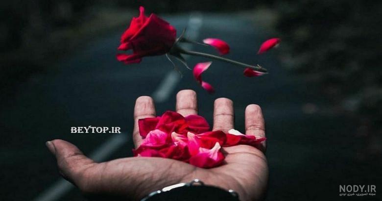 عکس دسته گلهای بسیار زیبا عکس دسته گلهای بسیار زیبا