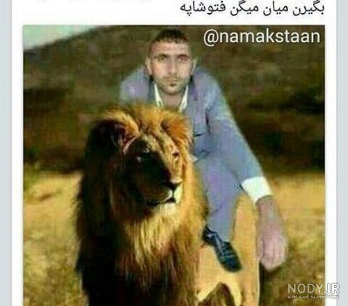 عکس شیر سیاه سفید عکس شیر سیاه سفید