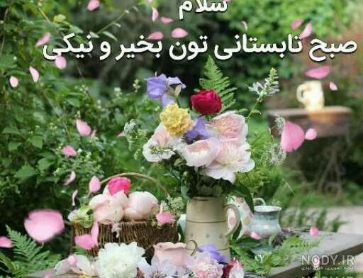 عکس صبح بخیر ساده عکس صبح بخیر ساده