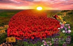 عکس طبیعت زیبا عکس طبیعت زیبا