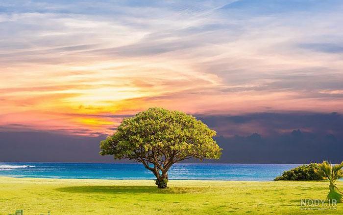 عکس طبیعت فوق العاده زیبا