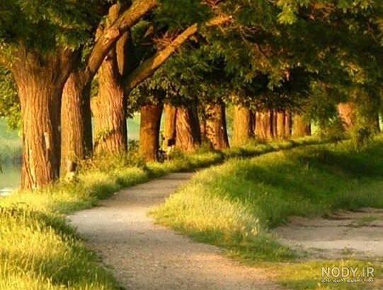 عکس طبیعت واقعی عکس طبیعت واقعی