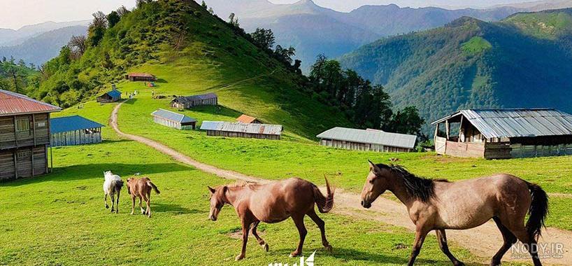 عکس طبیعت واقعی