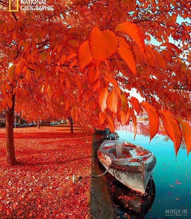 عکس طبیعت پاییزی با کیفیت بالا