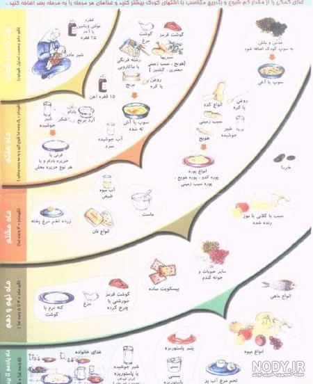 عکس غذای کمکی نوزاد عکس غذای کمکی نوزاد