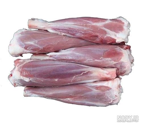 عکس ماهیچه گوسفندی عکس ماهیچه گوسفندی