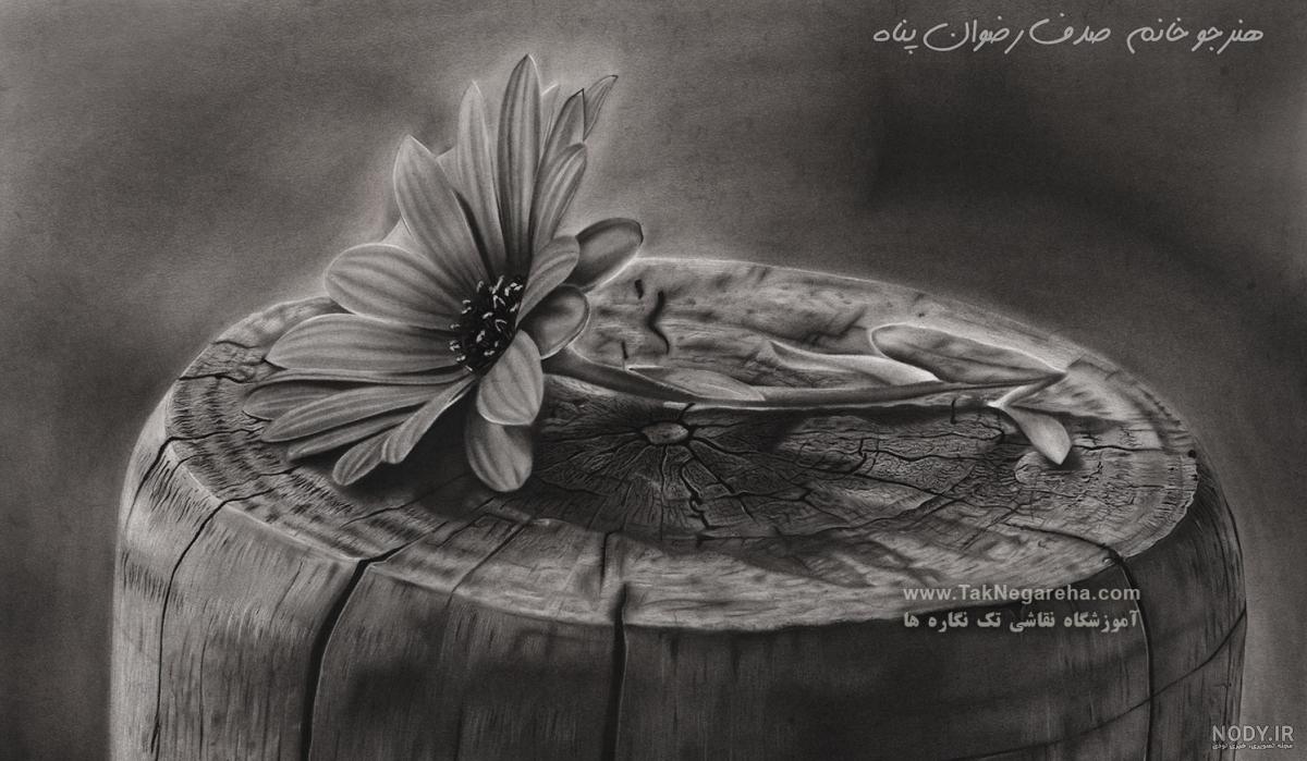 عکس منظره برای سیاه قلم