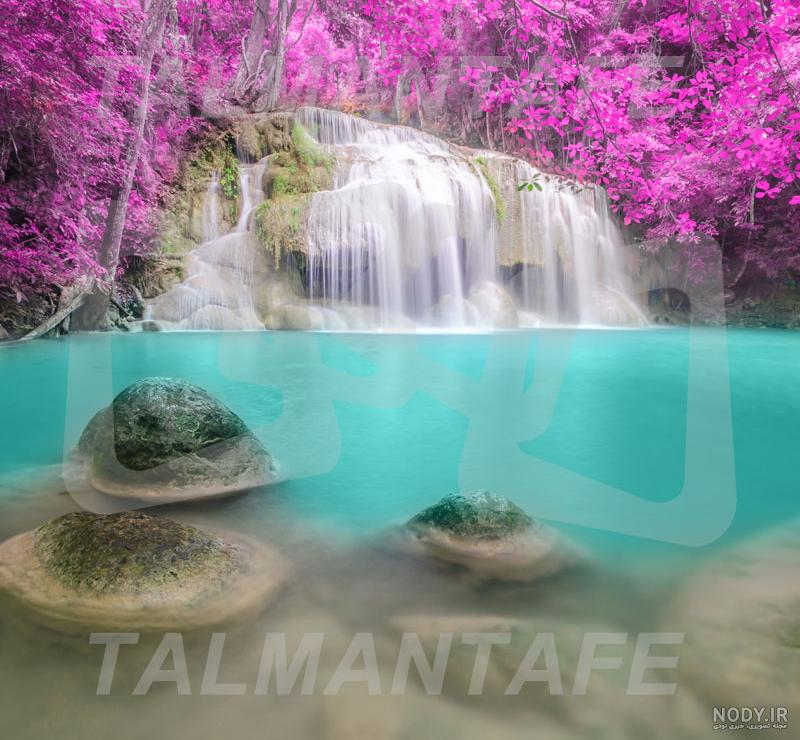 عکس منظره جنگل عکس منظره جنگل
