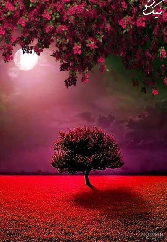 عکس منظره زیبا واقعی عکس منظره زیبا واقعی