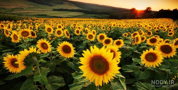 عکس منظره ی جذاب