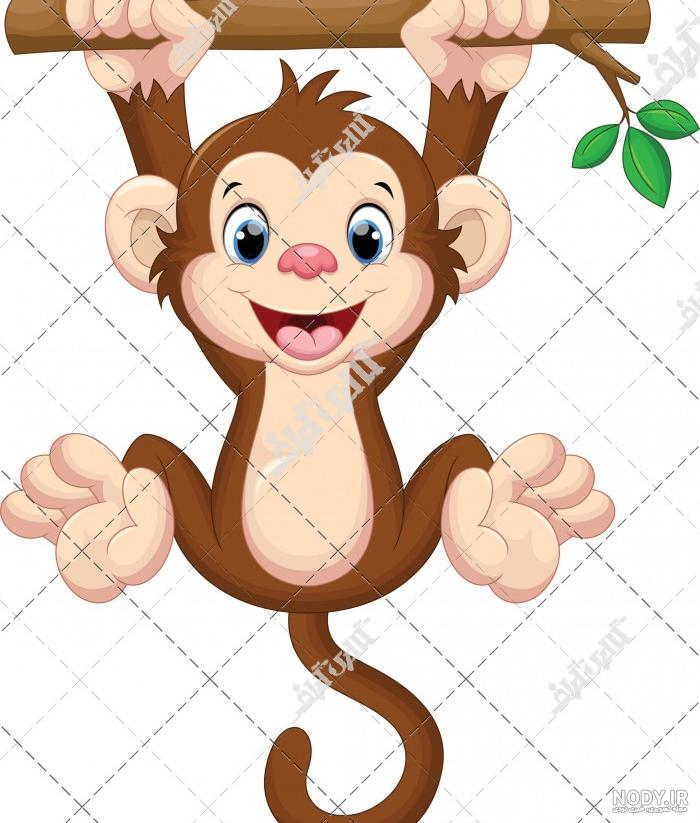 عکس میمون زشت