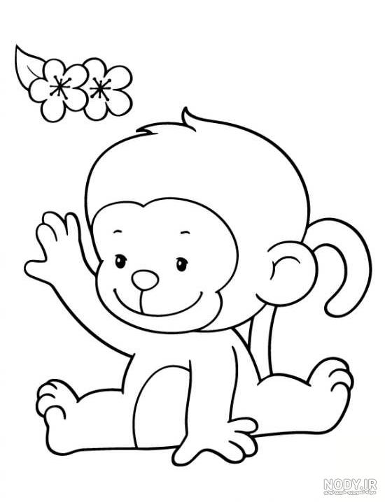 عکس میمون واقعی