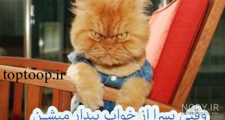 عکس نوشته ضد مرد عکس نوشته ضد مرد