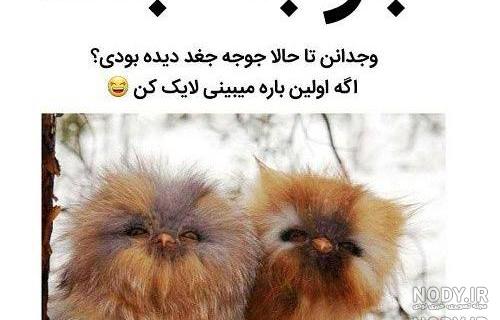 عکس نوشته لطفا لایک کنید