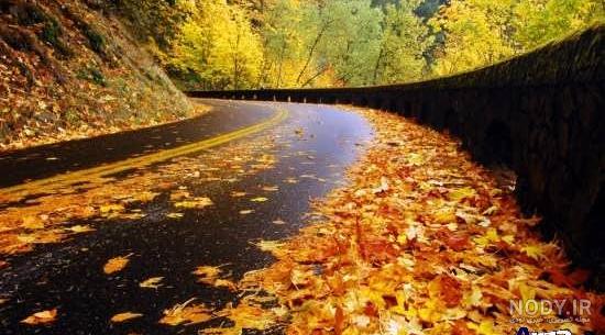 عکس پاییز دلگیر