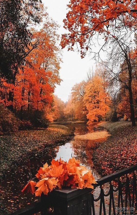 عکس پس زمینه موبایل عکس پس زمینه موبایل