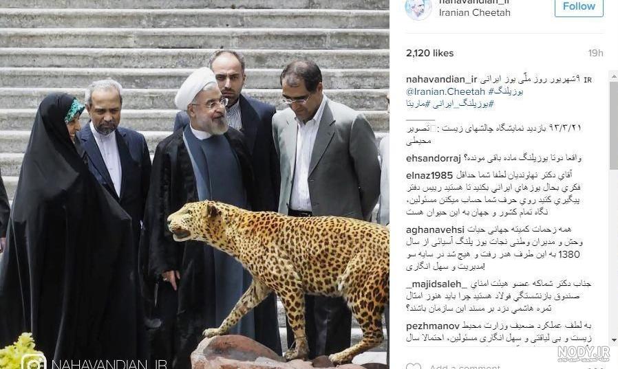 عکس پلنگ سیاه در انتقام جویان عکس پلنگ سیاه در انتقام جویان