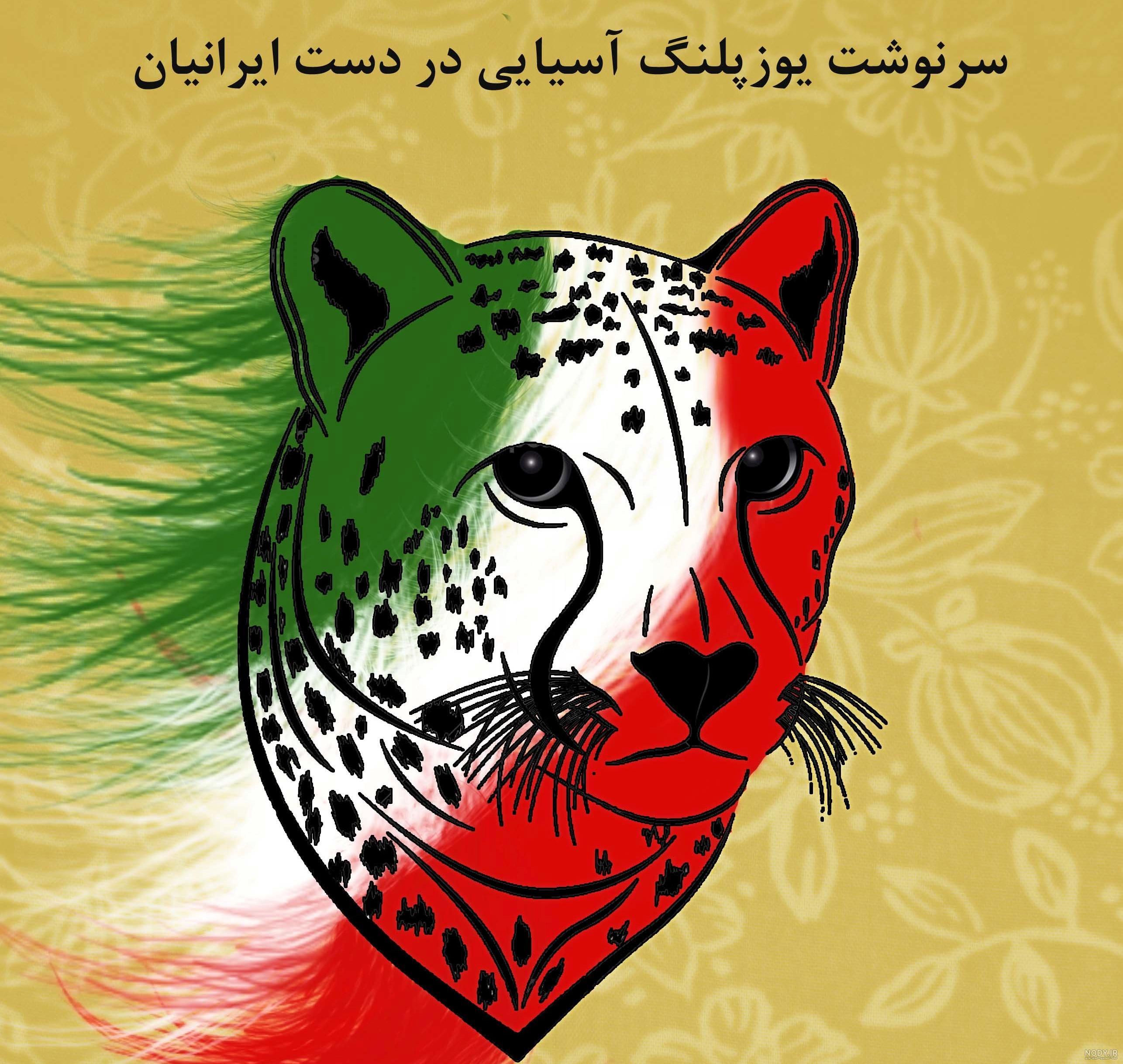 عکس یوز پلنگ وحشی عکس یوز پلنگ وحشی