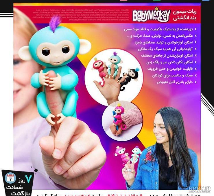 قیمت میمون انگشتی زنده قیمت میمون انگشتی زنده