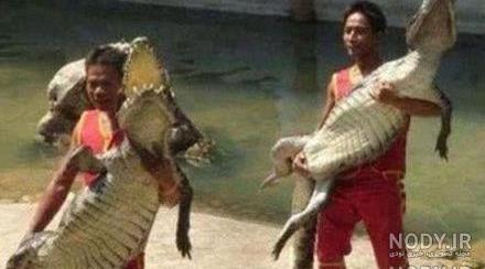 لحظات خنده دار چینی لحظات خنده دار چینی