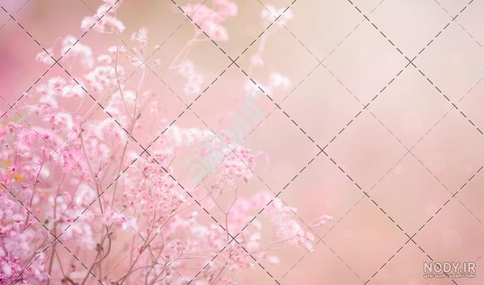 منظره زیبا برای وضعیت منظره زیبا برای وضعیت
