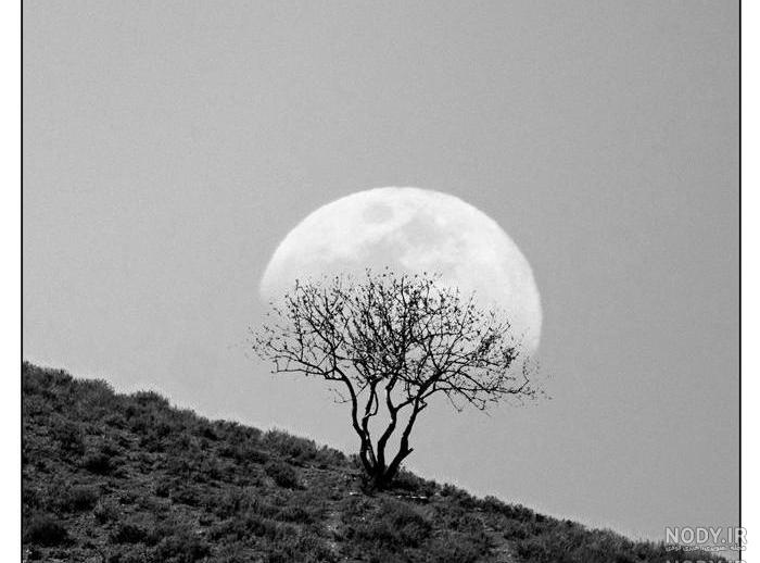 نقاشی سیاه قلم دخترانه اسان