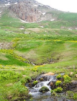 نقاشی چشمه و چراگاه
