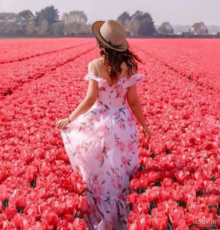 نقاشی گل لاله قرمز