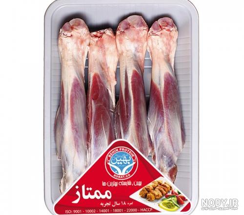 گل ماهیچه گوسفندی گل ماهیچه گوسفندی