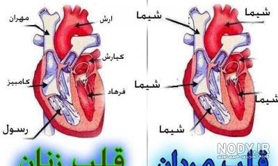 عکس قلب نقاشی عکس قلب نقاشی