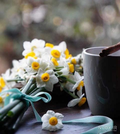 عکس قرآن برای پروفایل