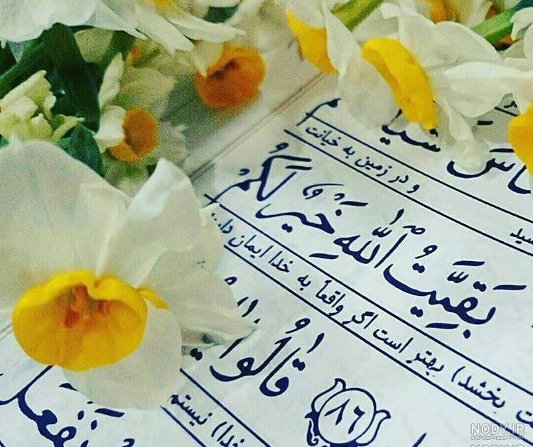 عکس قرآن و گل نرگس