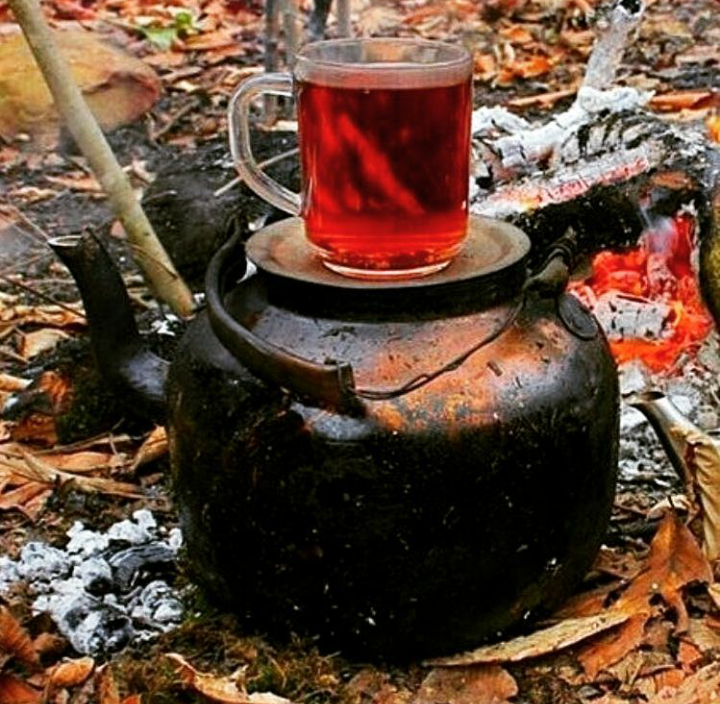 عکس چای دونفره در طبیعت