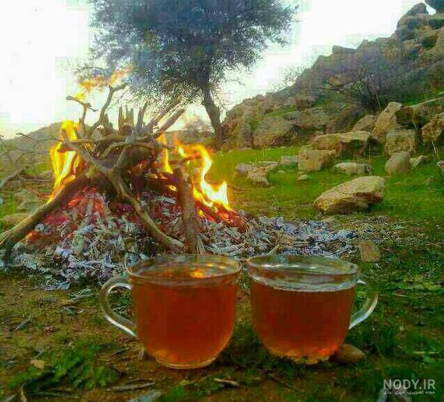 عکس چای دونفره در طبیعت