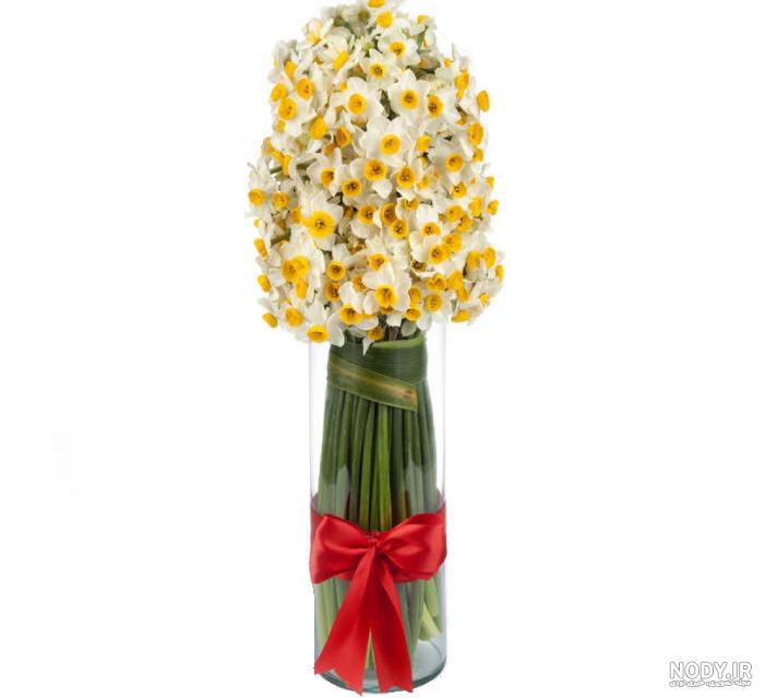  عکس گل نرگس در گلدان