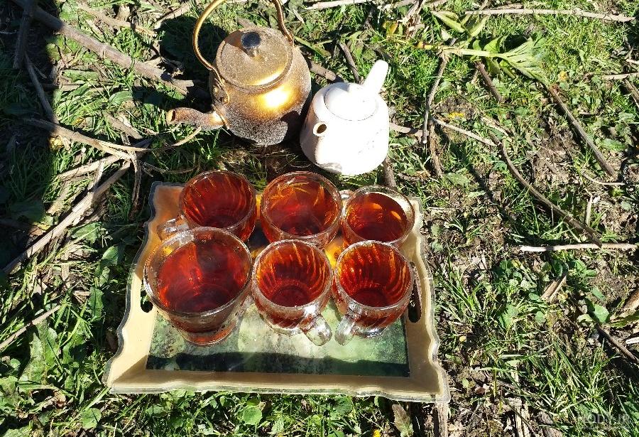 عکس خفن عکس چایی در طبیعت برای استوری