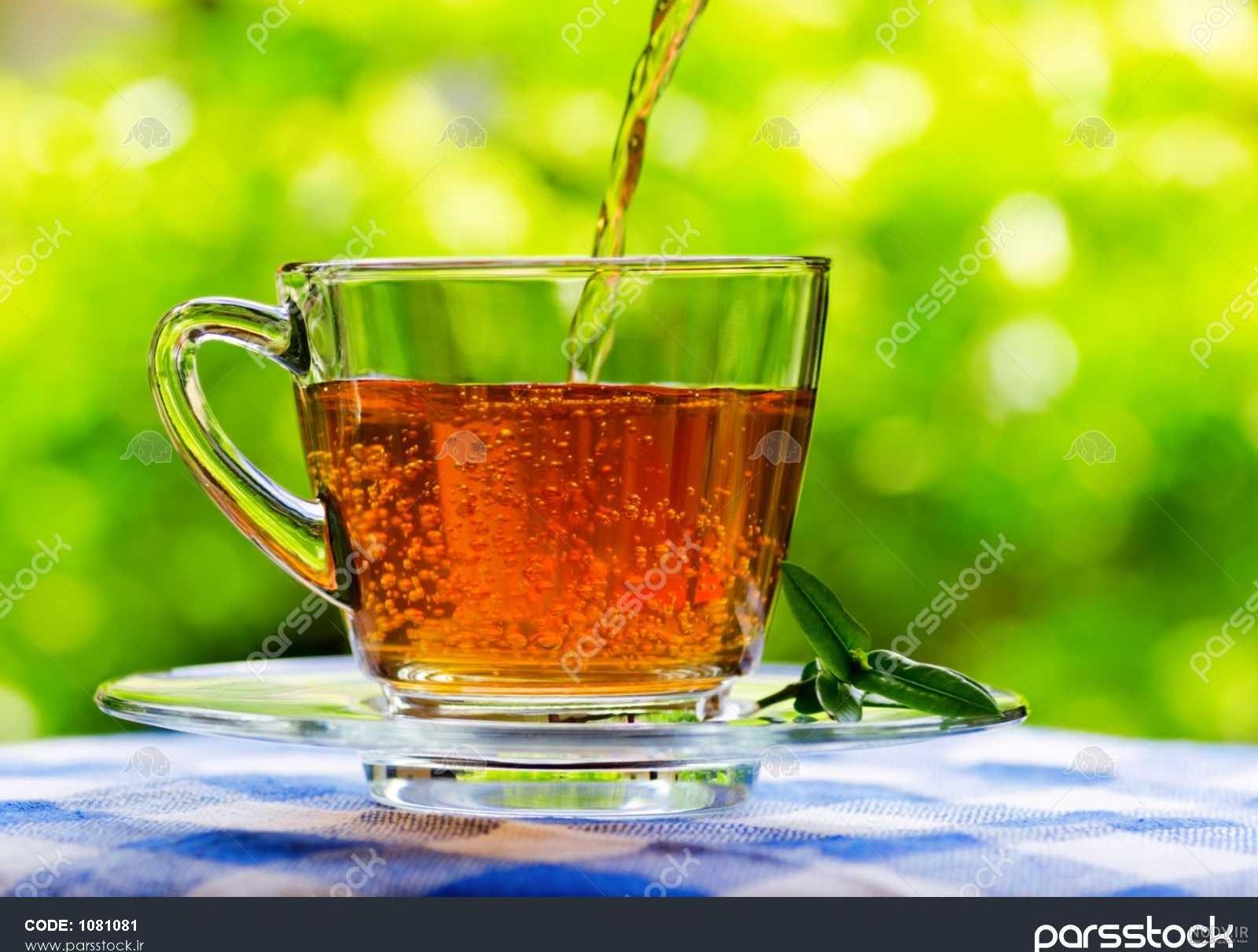 عکس چای دونفره در طبیعت