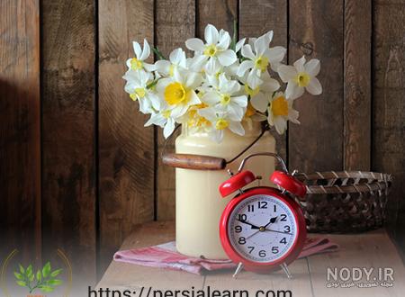  عکس گل نرگس در گلدان