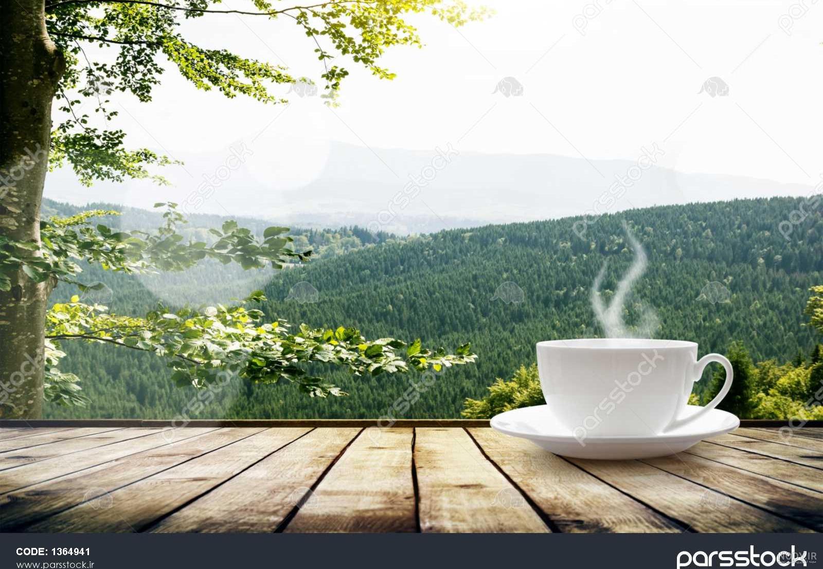 عکس چای دونفره در طبیعت