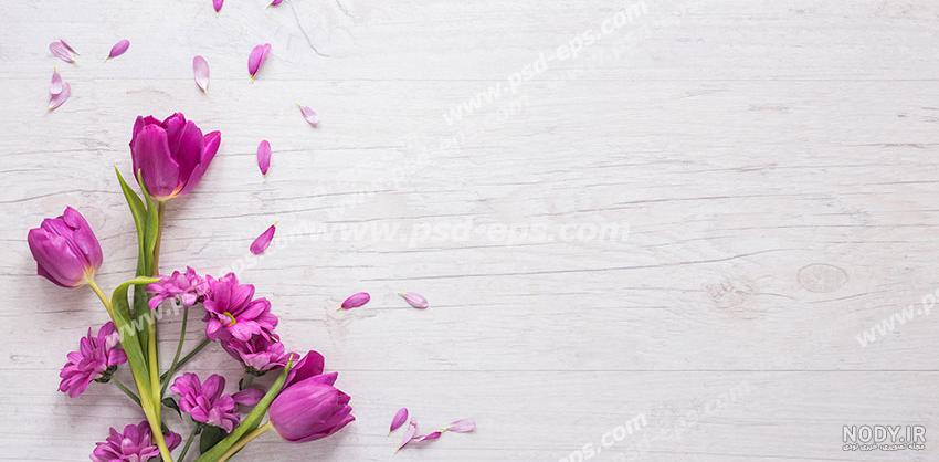تصویر زمینه متن دار تصویر زمینه متن دار
