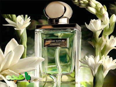 خواص عطر گل یاس رازقی خواص عطر گل یاس رازقی