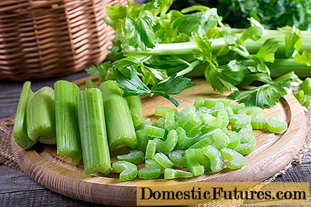خواص کرفس برای کبد خواص کرفس برای کبد
