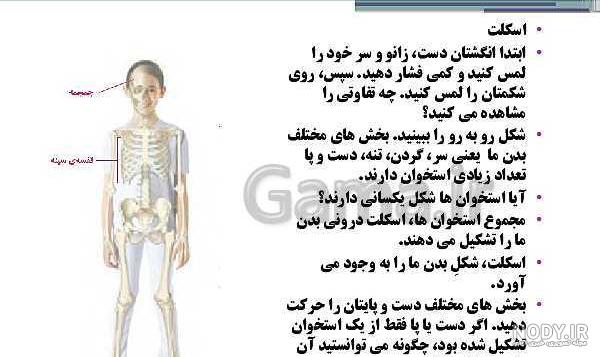 دانلود علوم پنجم دانلود علوم پنجم